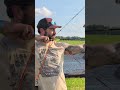 Mathews ARC 30 vs ARC 34: Does 4 Inches Matter?