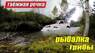ПОЕЗДКА В ТАЙГУ/РЫБАЛКА/ ГРИБЫ/Кузнецкий Алатау/ Малая река #тайга, #путешествие, #хариус
