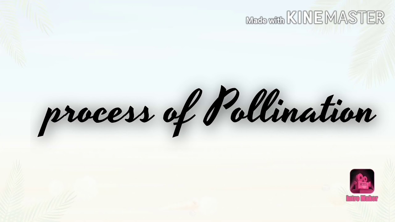 Process of Pollination - YouTube