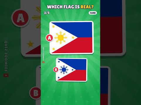 Real or Fake Flag? Part 5/8