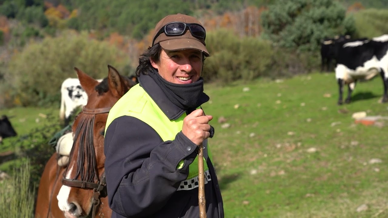 Trashumancia de invierno