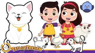 Kedicim Mırnav Der · Hayvanlarım Var · Mini Mini Bir Kuş · 5 Çocuk Şarkısı Bir Arada · Tatlış Tavşan