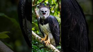 ये पक्षी नहीं, साक्षात यमराज है! 🦅😱 #shorts #facts #youtubeshorts