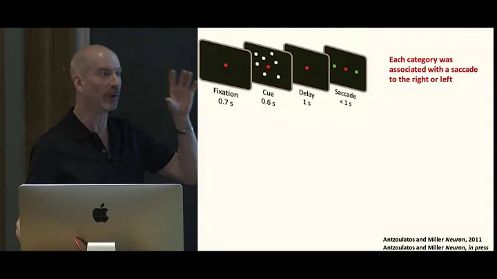 Earl Miller: Cognition is rhythmic