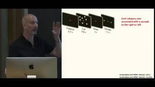 Earl Miller: Cognition is rhythmic