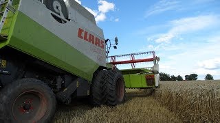 Żniwa 2017: Claas Lexion - wtopa nawet na bliźniakach!