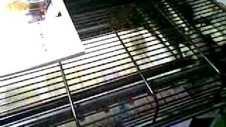 Multi paso 2.mp4