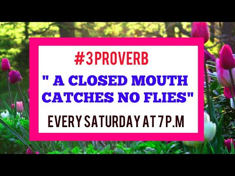 #3  A CLOSED MOUTH CATCHES NO FLIES | PROVERB | IN ENGLISH AND HINDI