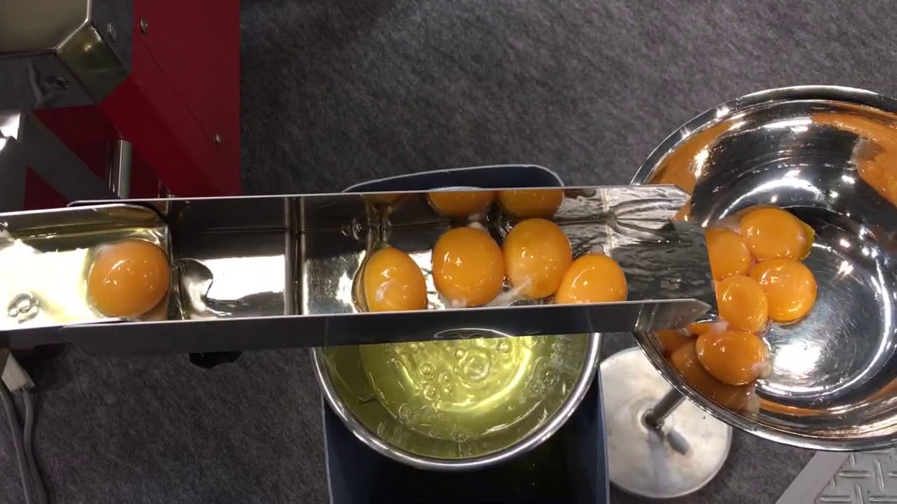 中古】業務用・たまご割り機 ワルサー1800 三共技研【引取り可】