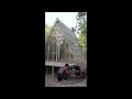 Dry Bamboo Home in Forest/#sorts