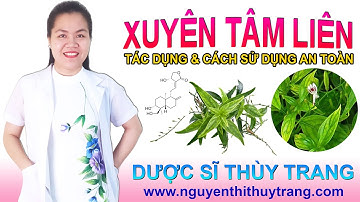 Xuyên tâm liên là gì? Tác dụng và cách sử dụng xuyên tâm liên