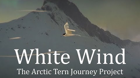 White Wind - Indie Game -  First Hero Control Test in Unity 2017