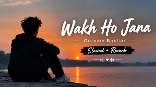 Wakh Ho Jana - Gurnam Bhullar (Slowed + Reverb)