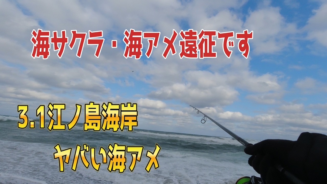 3 1江ノ島海岸 海アメ釣れてるよ