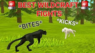 WILDCRAFT FIGHTS AND ARGUMENTS (Part One..?)