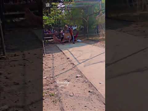 #cricket with nets practice with friends@AdeelVlogs372