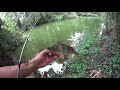 petite partie de pêche a la perche