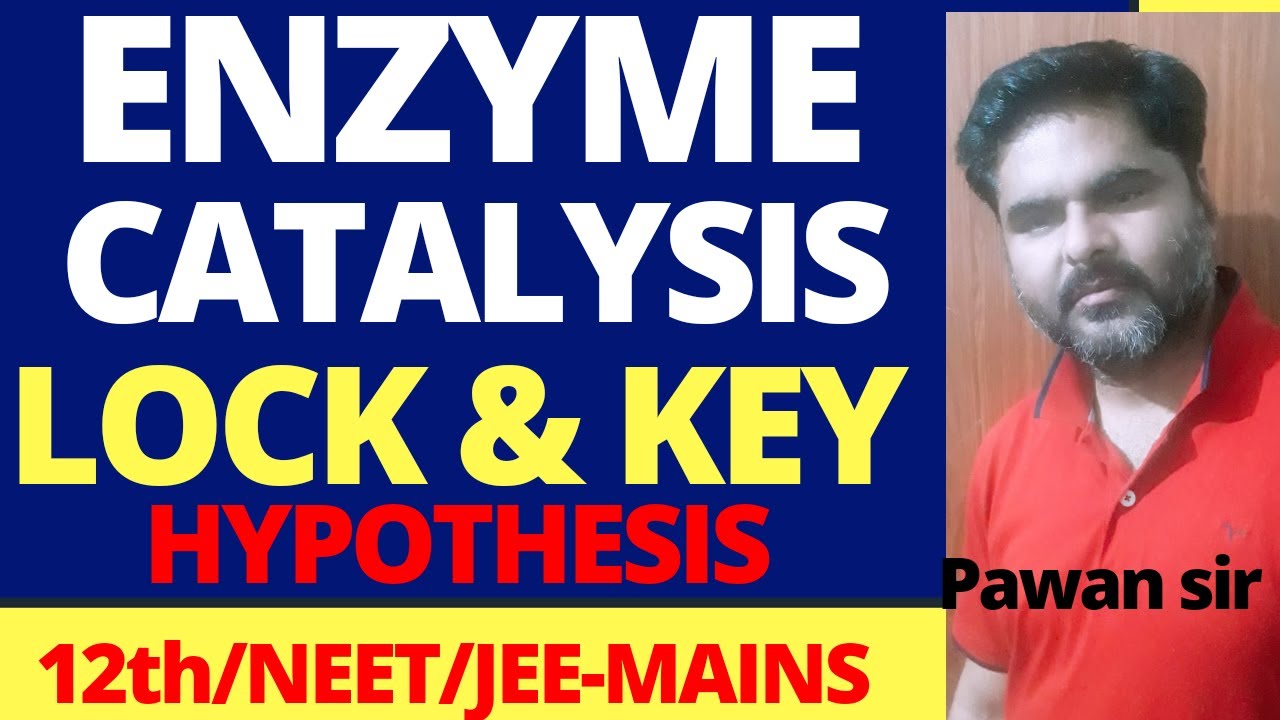 Enzyme CatalysisMechanism of Enzyme CatalysisLock & Key Hypothesis