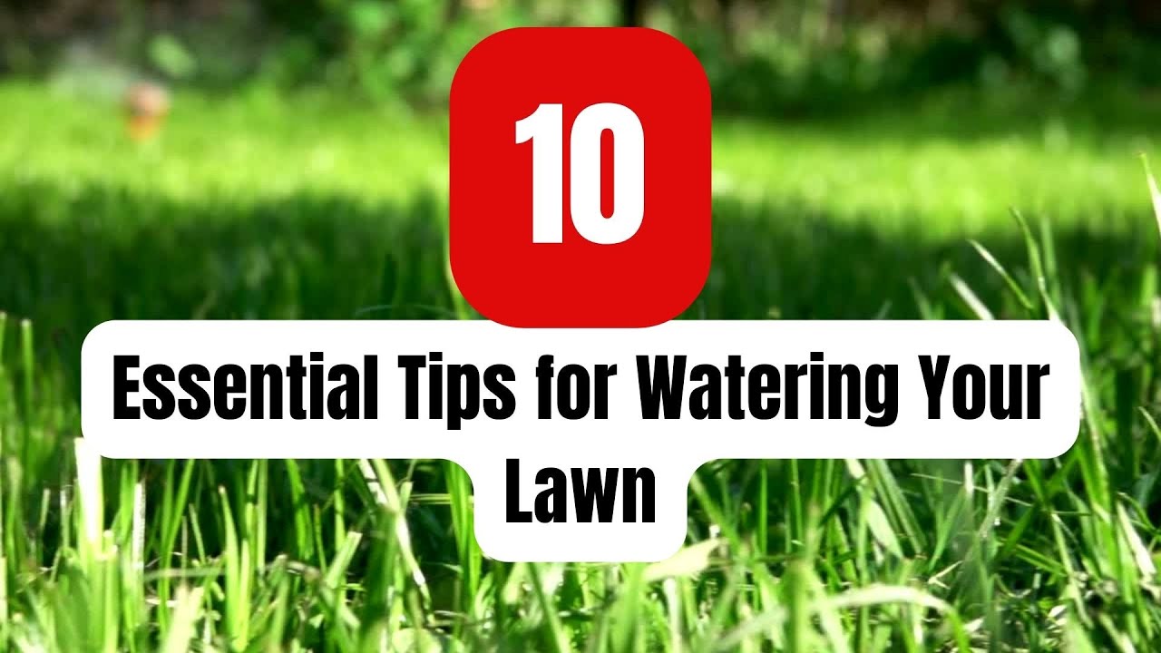 How to water your lawn | 10 Essential Tips - YouTube
