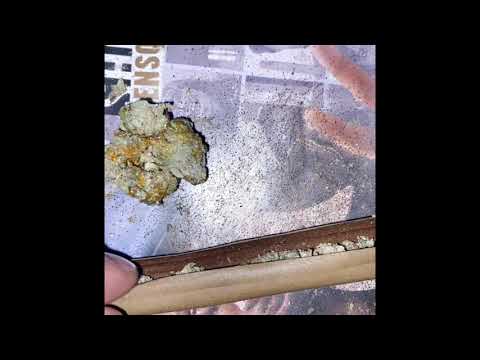 Tried SunRocks For the 1st Time