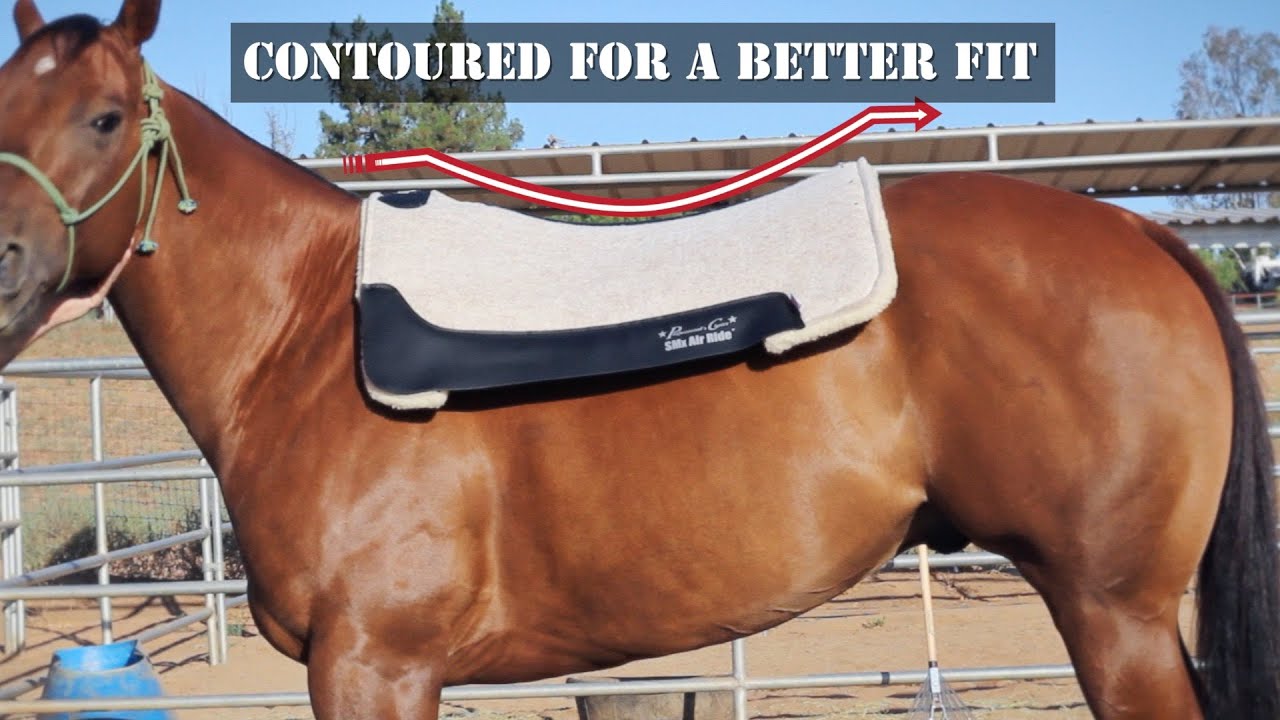 Cowboy Felt Saddle Pads - Professional'S Choice