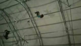 Trapeze - pennyroll, catch!