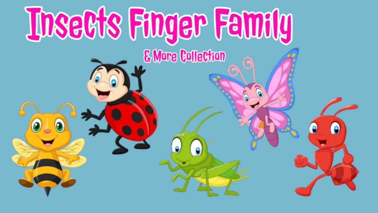 Insect Finger Family Song & More Collection | Top 01 Insect Finger Family Song