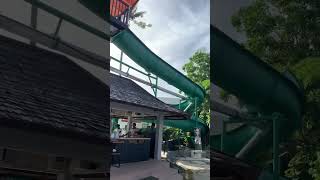 발리 다이너스티 호텔 수영장 Bali Dynasty Hotel Pool #bali #balidynasty #발리 #발리호텔추천 #발리다이너스티