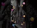 🌸✨💗🥰✨#mehndi #short #music #design