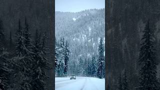 Way to Lake Tahoe 🇺🇲 #americancity #travel #usa #lake #americatour #usalife #tahoelife #vinumalik