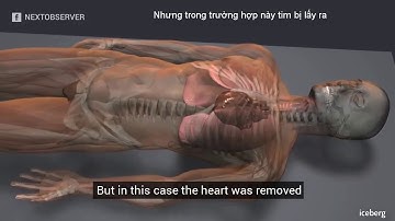 Xác ướp Ai Cập | Người Ai Cập cổ đại ướp xác như thế nào?