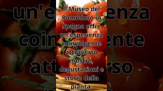 Oltre il Sapore: Il Museo del Pomodoro Spagnolo!