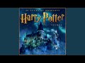 Lily S Theme From Harry Potter And The Deathly Hallows 2 
