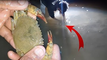 આજે તો બતીયે કરચલા પકડ્યા#a viral viral blog