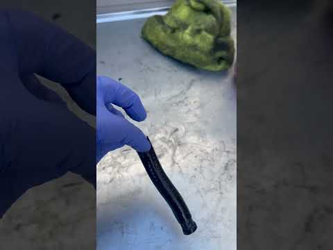 2004 Audi B6 S4 V8 4.2 in for large power steering leak.