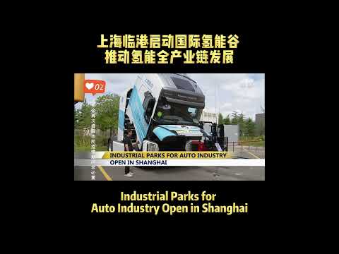 Reg Auto Shanghai Industry Ltd