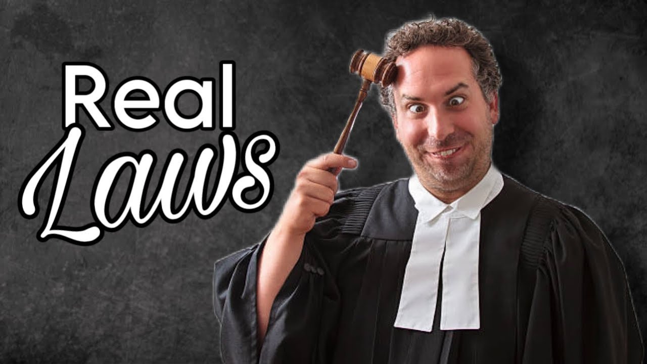 Someone Creating Laws Someone ACTUALLY Made This A Law!! - YouTube