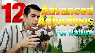 Building Your English Vocabulary: Advanced Adjectives for the Environment