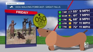 Dog-walking forecast (August 22, 2025)