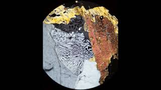 Myrmekite tutorial Optical mineralogy