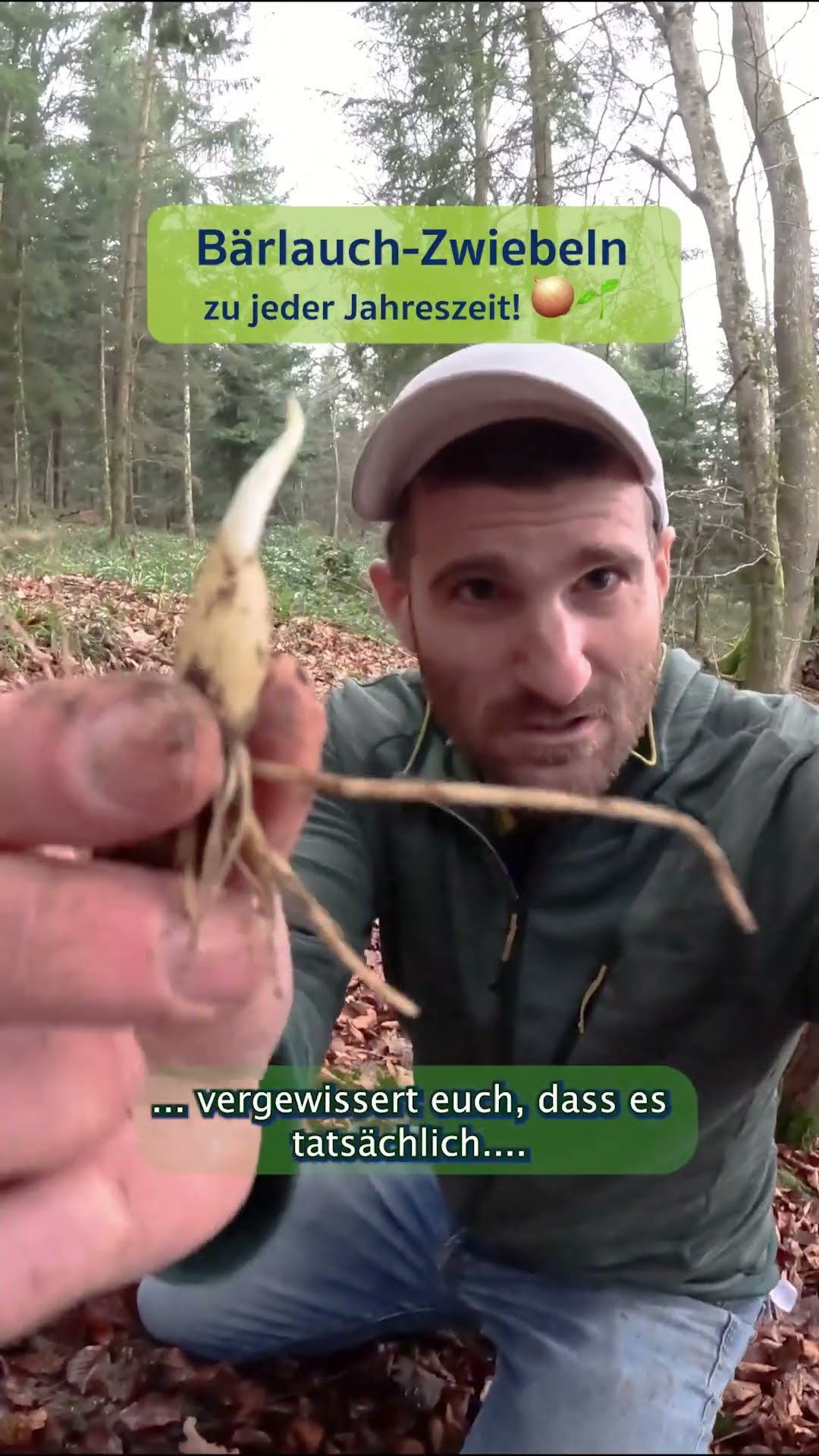 BÄRLAUCH-ZWIEBELN 🐻🌱🧅 - Zu jeder Jahreszeit, auch im Winter :-) - YouTube