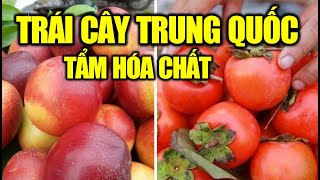 Những loại trái cây Trung Quốc được 'ngâm' hóa chất bán đầy ở ngoài chợ | Cuộc Sống Hạnh Phúc
