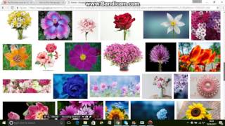 How to find free google image by date range screenshot 2