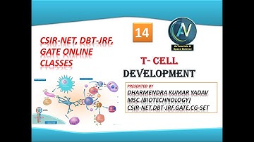T- cell development Csir-net, dbt-jrf, gate online classes