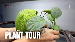 These Plants Are So Rare, Most Collectors Don't Know They're Real