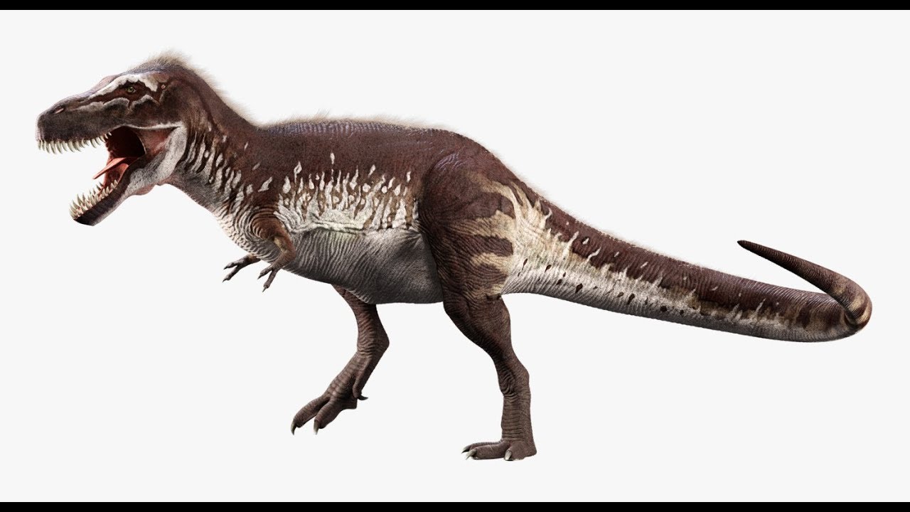 Tyrannosaurus rex running animal 3D model - TurboSquid 1566262