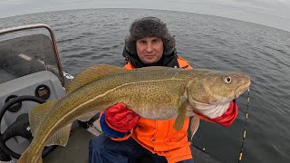 ВЫШЛИ В БАРЕНЦЕВОЕ МОРЕ ПОЛОВИТЬ ТРЕСКИ / COD FISHING