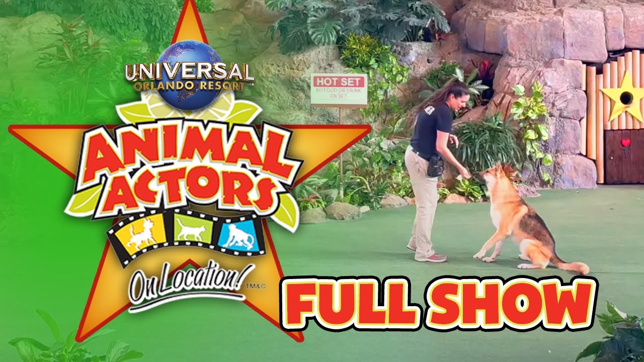 Animal Actors on Location! Full Show - Universal Studios Florida - YouTube
