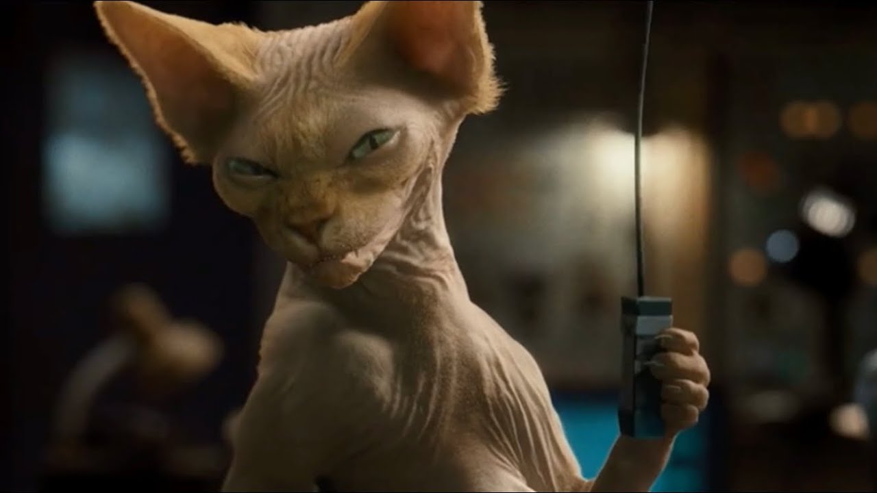 Cats & Dogs: Revenge of Kitty Galore  (Opening Scene)