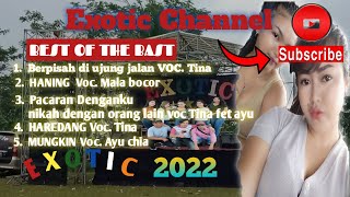 EXOTIC big BAS full DJ 5 lagu terbaik 2021-2022 🎵 #DJ_EXOTIC #EXOTIC_REMIX